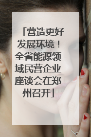 营造更好发展环境！全省能源领域民营企业座谈会在郑州召开