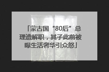 蒙古国“80后”总理遭解职，其子此前被曝生活奢华引众怒