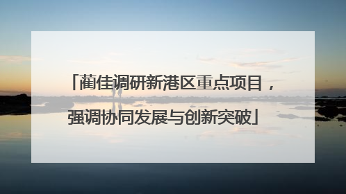 蔺佳调研新港区重点项目，强调协同发展与创新突破