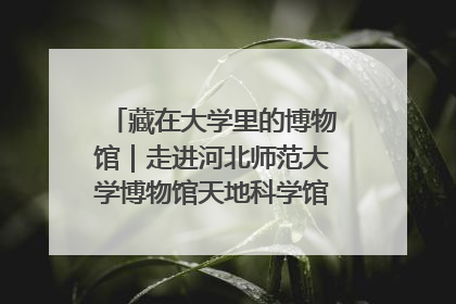 藏在大学里的博物馆｜走进河北师范大学博物馆天地科学馆：在校园里赴一场“宇宙之约”