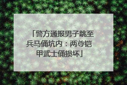 警方通报男子跳至兵马俑坑内：两尊铠甲武士俑损坏