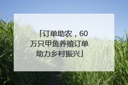 订单助农，60万只甲鱼养殖订单助力乡村振兴