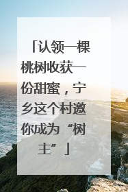 认领一棵桃树收获一份甜蜜，宁乡这个村邀你成为“树主”