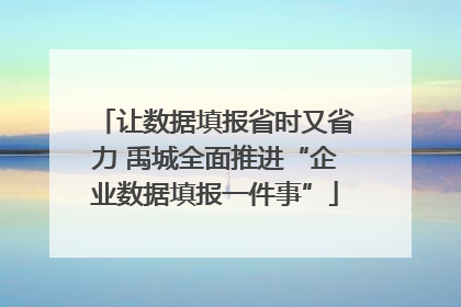 让数据填报省时又省力 禹城全面推进“企业数据填报一件事”