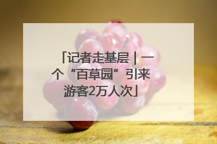 记者走基层｜一个“百草园”引来游客2万人次