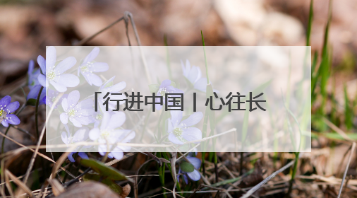 行进中国丨心往长白山 松花江上游