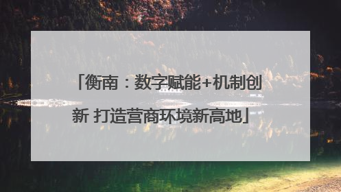 衡南：数字赋能+机制创新 打造营商环境新高地