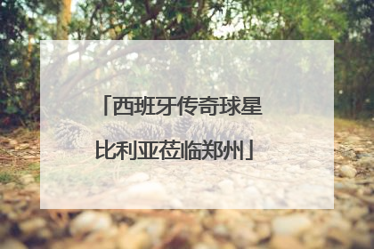 西班牙传奇球星 比利亚莅临郑州
