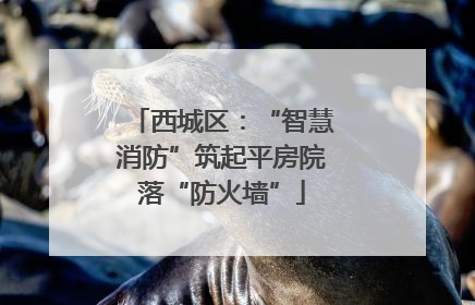 西城区：“智慧消防”筑起平房院落“防火墙”
