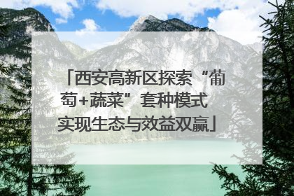 西安高新区探索“葡萄+蔬菜”套种模式 实现生态与效益双赢