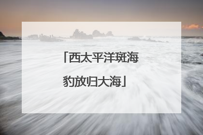 西太平洋斑海豹放归大海