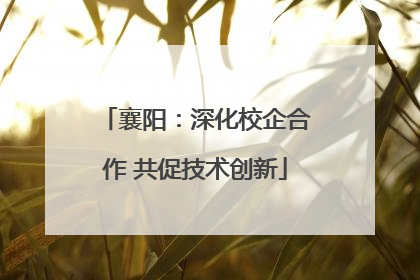 襄阳：深化校企合作 共促技术创新