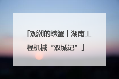 观潮的螃蟹丨湖南工程机械“双城记”
