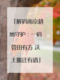 解码南京耕地守护：一码管田有方 沃土搬迁有道