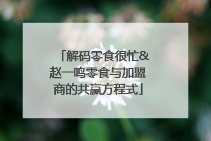 解码零食很忙&赵一鸣零食与加盟商的共赢方程式