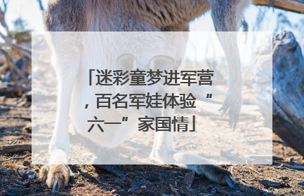 迷彩童梦进军营，百名军娃体验“六一”家国情