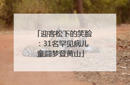 迎客松下的笑脸：31名罕见病儿童圆梦登黄山