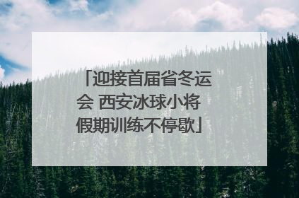 迎接首届省冬运会 西安冰球小将假期训练不停歇