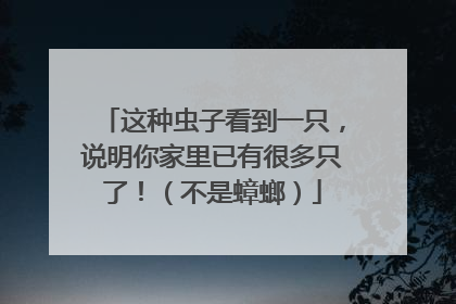 这种虫子看到一只，说明你家里已有很多只了！（不是蟑螂）
