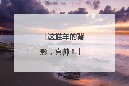 这推车的背影，真帅！