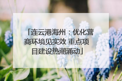 连云港海州：优化营商环境见实效 重点项目建设热潮涌动