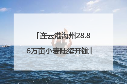 连云港海州28.86万亩小麦陆续开镰