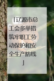 辽源市总工会多举措筑牢职工劳动保护和安全生产防线