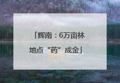 辉南：6万亩林地点“药”成金