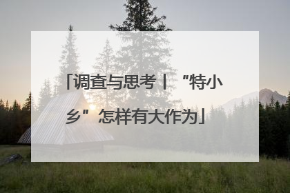 调查与思考丨“特小乡”怎样有大作为