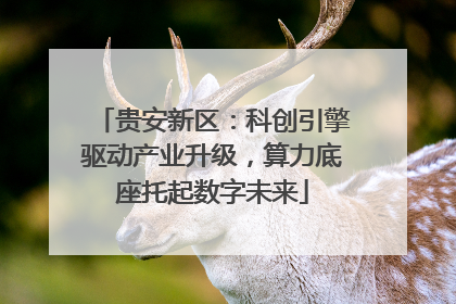 贵安新区：科创引擎驱动产业升级，算力底座托起数字未来
