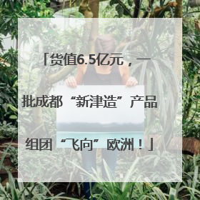 货值6.5亿元，一批成都“新津造”产品组团“飞向”欧洲！