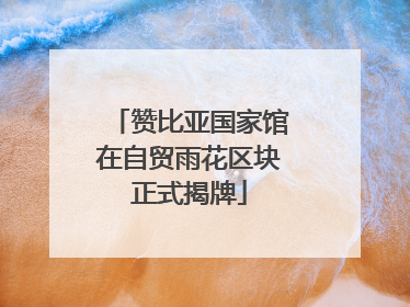 赞比亚国家馆在自贸雨花区块正式揭牌