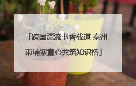 跨国漂流书香载道 泰州柬埔寨童心共筑知识桥