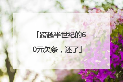跨越半世纪的60元欠条，还了