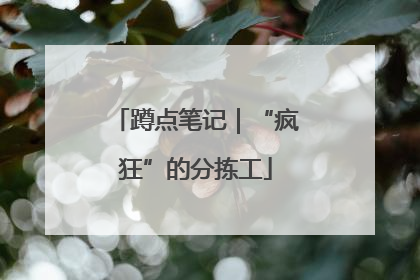 蹲点笔记｜“疯狂”的分拣工