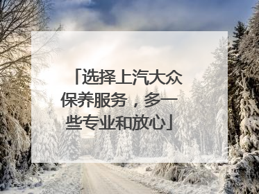 选择上汽大众保养服务，多一些专业和放心