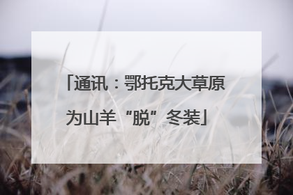 通讯：鄂托克大草原为山羊“脱”冬装