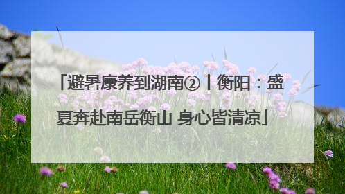 避暑康养到湖南②丨衡阳：盛夏奔赴南岳衡山 身心皆清凉