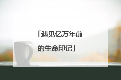 遇见亿万年前的生命印记