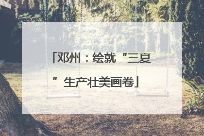邓州：绘就“三夏”生产壮美画卷