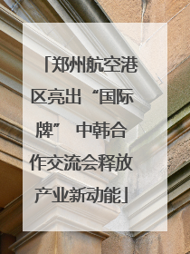 郑州航空港区亮出“国际牌” 中韩合作交流会释放产业新动能