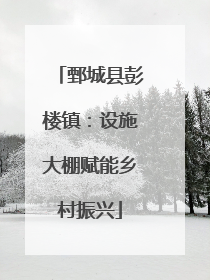 鄄城县彭楼镇：设施大棚赋能乡村振兴