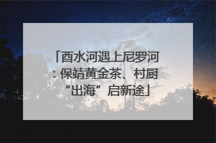 酉水河遇上尼罗河：保靖黄金茶、村厨“出海”启新途