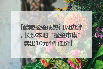 醴陵捡瓷成热门周边游，长沙本地“捡瓷市集”卖出10元4件低价