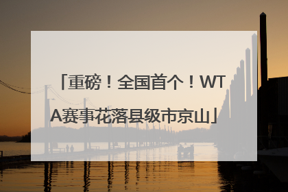 重磅！全国首个！WTA赛事花落县级市京山