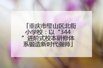 重庆市璧山区北街小学校：以“344”进阶式校本研修体系锻造新时代强师