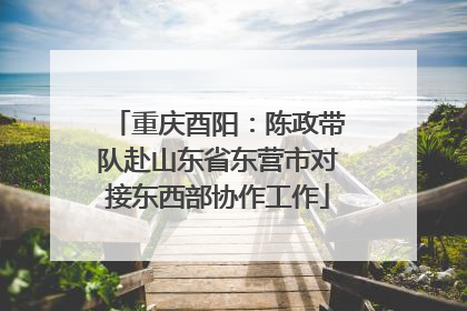 重庆酉阳：陈政带队赴山东省东营市对接东西部协作工作
