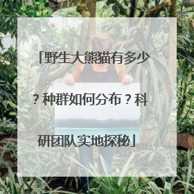 野生大熊猫有多少？种群如何分布？科研团队实地探秘