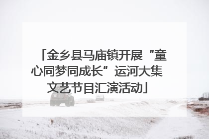 金乡县马庙镇开展“童心同梦同成长”运河大集文艺节目汇演活动