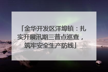 金华开发区洋埠镇：扎实开展汛期三普点巡查，筑牢安全生产防线